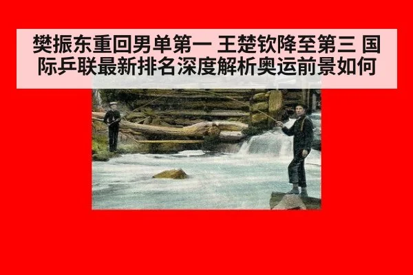 樊振东重回男单第一 王楚钦降至第三 国际乒联最新排名深度解析奥运前景如何