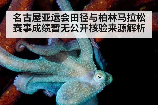 名古屋亚运会田径与柏林马拉松赛事成绩暂无公开核验来源解析